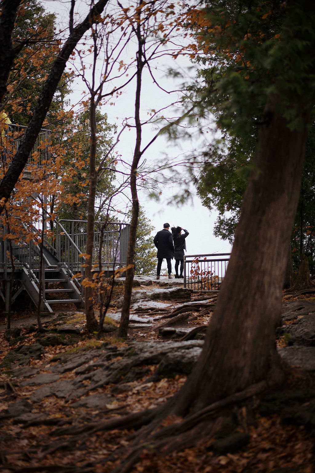 Embrace on a foggy autumn morning